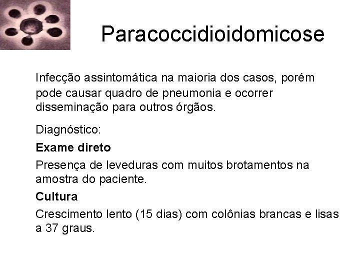 Paracoccidioidomicose Infecção assintomática na maioria dos casos, porém pode causar quadro de pneumonia e Paracoccidioidomicose Infecção assintomática na maioria dos casos, porém pode causar quadro de pneumonia e