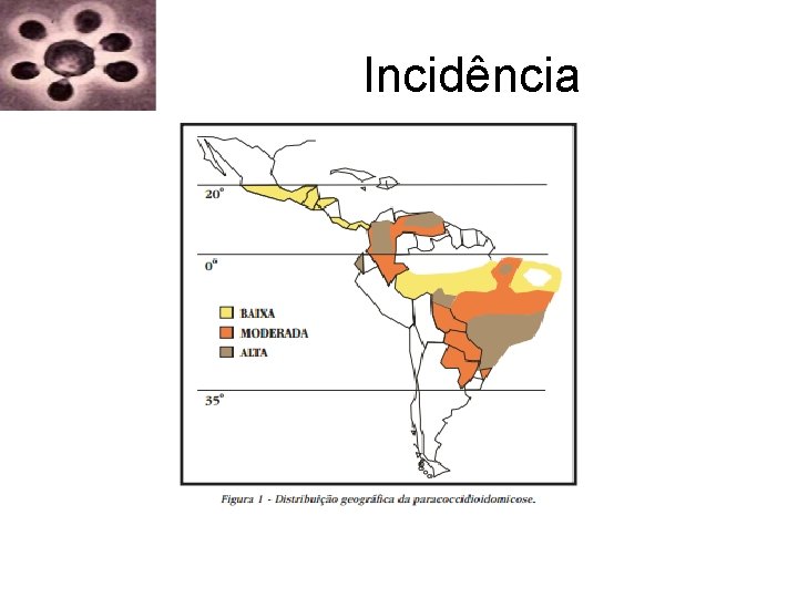 Incidência Incidência