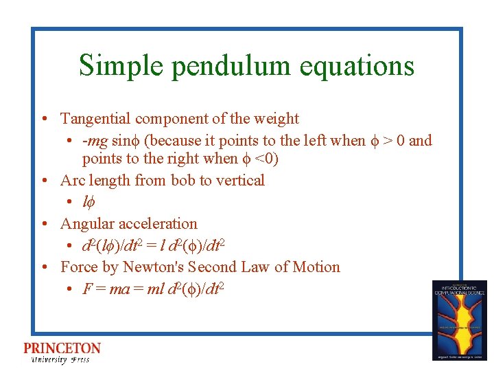 Simple pendulum equations • Tangential component of the weight • -mg sinϕ (because it