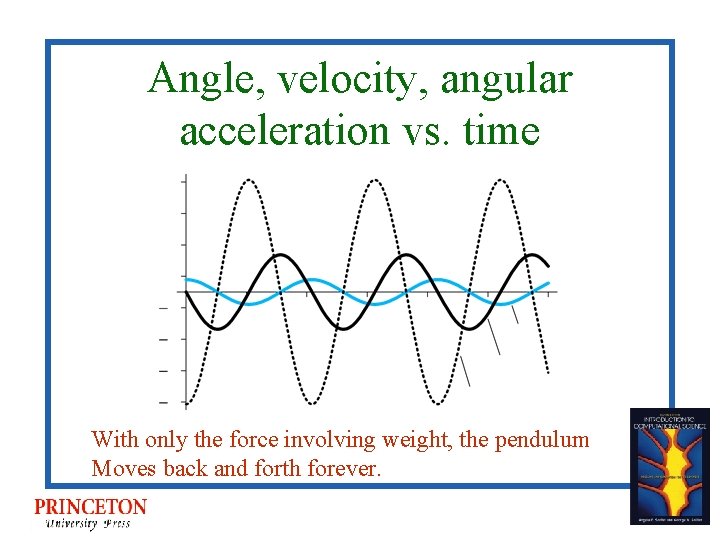 Angle, velocity, angular acceleration vs. time With only the force involving weight, the pendulum