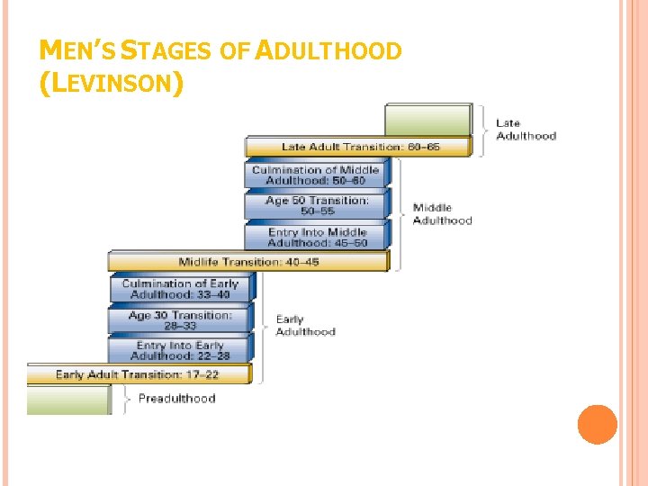 MEN’S STAGES OF ADULTHOOD (LEVINSON) 