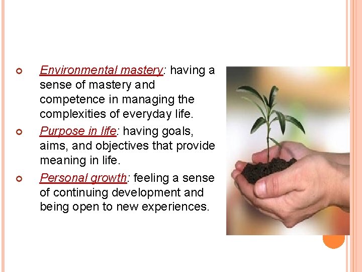  Environmental mastery: having a sense of mastery and competence in managing the complexities