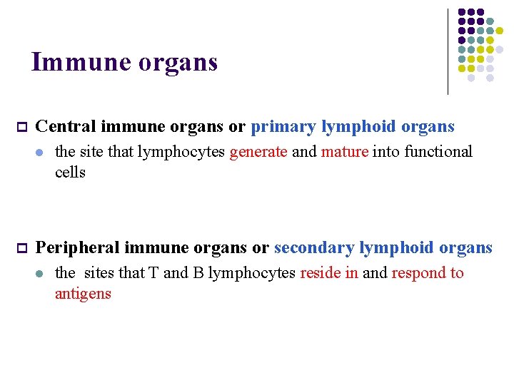 Immune organs p Central immune organs or primary lymphoid organs l p the site