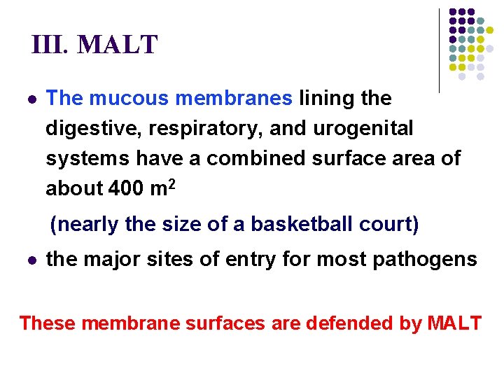 III. MALT l The mucous membranes lining the digestive, respiratory, and urogenital systems have
