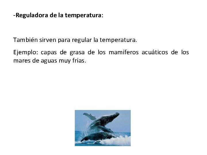 -Reguladora de la temperatura: También sirven para regular la temperatura. Ejemplo: capas de grasa