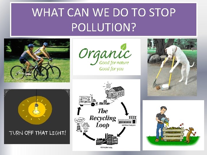 WHAT CAN WE DO TO STOP POLLUTION? 