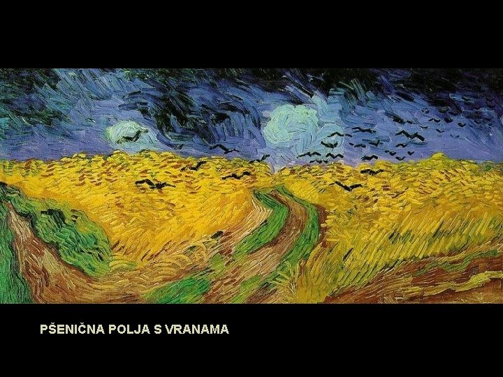 PŠENIČNA POLJA S VRANAMA 