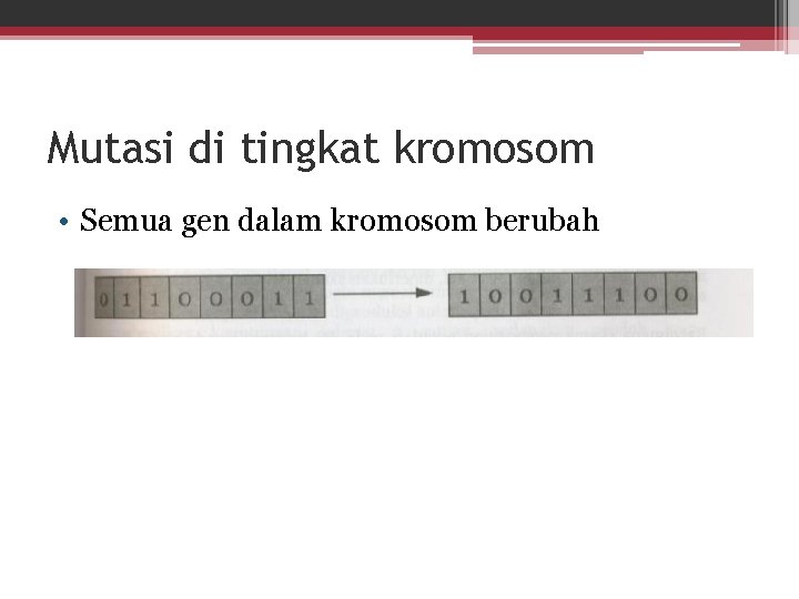 Mutasi di tingkat kromosom • Semua gen dalam kromosom berubah 