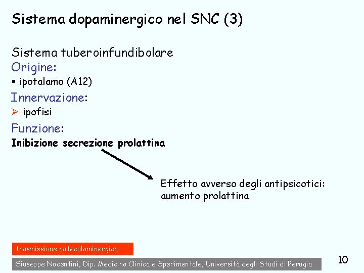 Sistema dopaminergico nel SNC (3) Sistema tuberoinfundibolare Origine: § ipotalamo (A 12) Innervazione: Ø