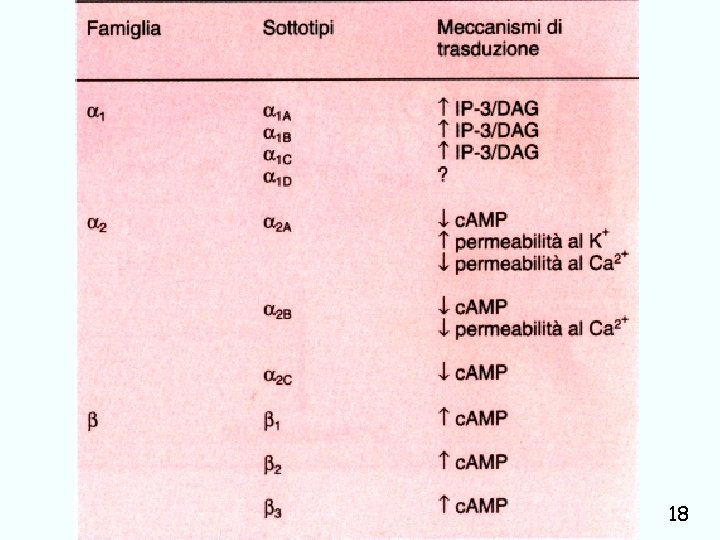 trasmissione catecolaminergica Giuseppe Nocentini, Dip. Medicina Clinica e Sperimentale, Università degli Studi di Perugia