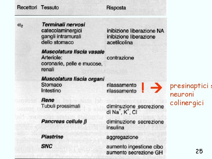 ! presinaptici s neuroni colinergici trasmissione catecolaminergica Giuseppe Nocentini, Dip. Medicina Clinica e Sperimentale,