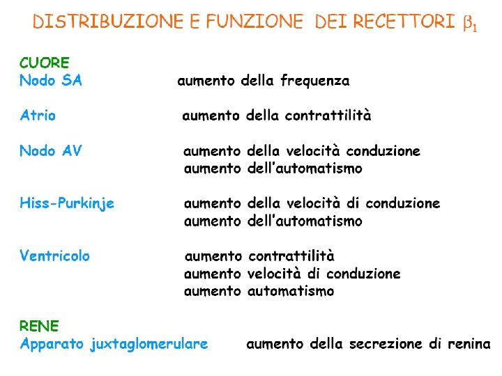 trasmissione catecolaminergica Giuseppe Nocentini, Dip. Medicina Clinica e Sperimentale, Università degli Studi di Perugia