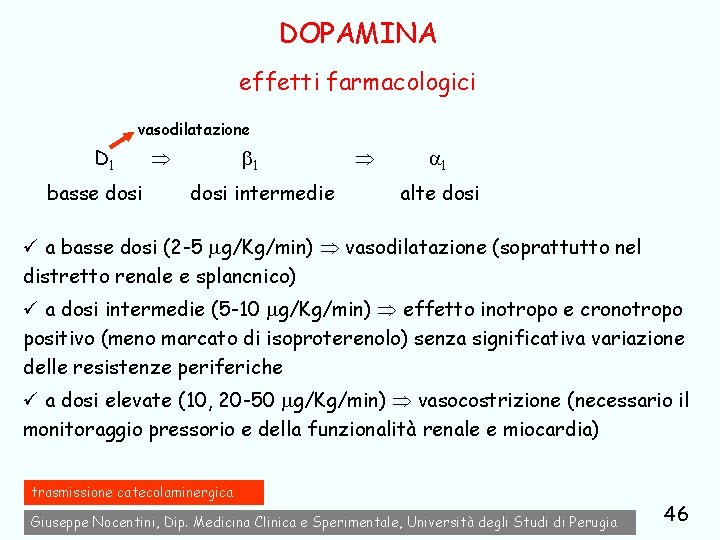 DOPAMINA effetti farmacologici vasodilatazione D 1 basse dosi 1 dosi intermedie 1 alte dosi