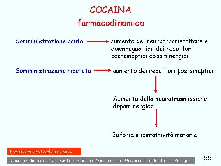 COCAINA farmacodinamica Somministrazione acuta Somministrazione ripetuta aumento del neurotrasmettitore e downregualtion dei recettori postsinaptici