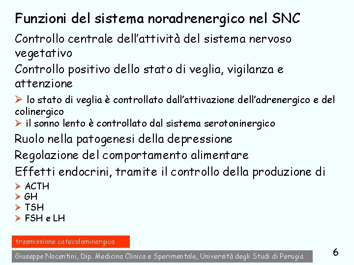 Funzioni del sistema noradrenergico nel SNC Controllo centrale dell’attività del sistema nervoso vegetativo Controllo