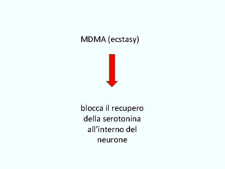 MDMA (ecstasy) blocca il recupero della serotonina all’interno del neurone 