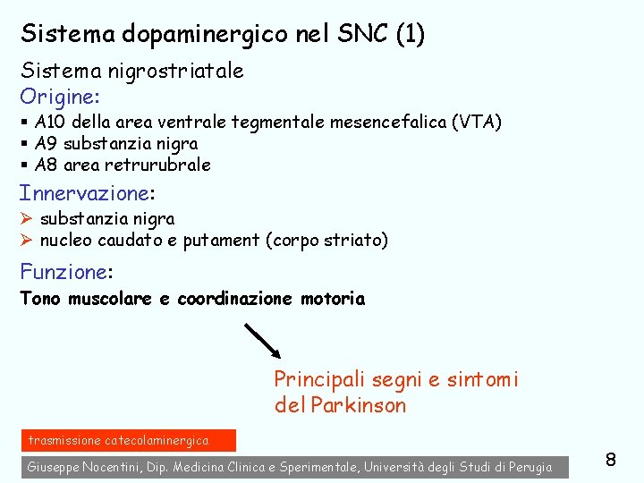 Sistema dopaminergico nel SNC (1) Sistema nigrostriatale Origine: § A 10 della area ventrale