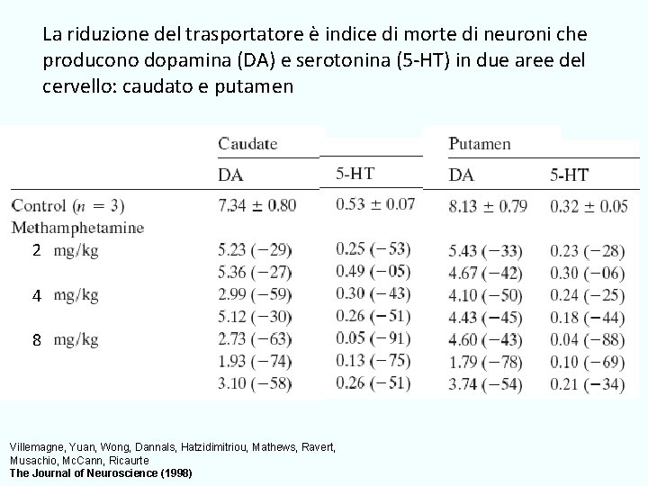 La riduzione del trasportatore è indice di morte di neuroni che producono dopamina (DA)