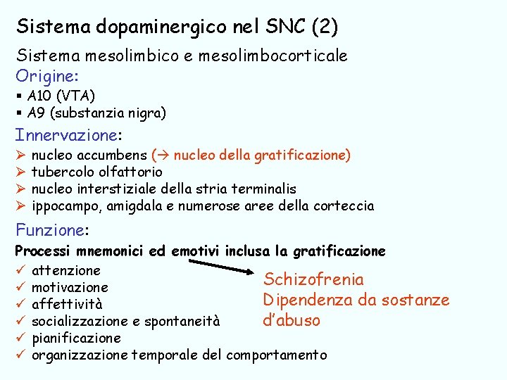 Sistema dopaminergico nel SNC (2) Sistema mesolimbico e mesolimbocorticale Origine: § A 10 (VTA)
