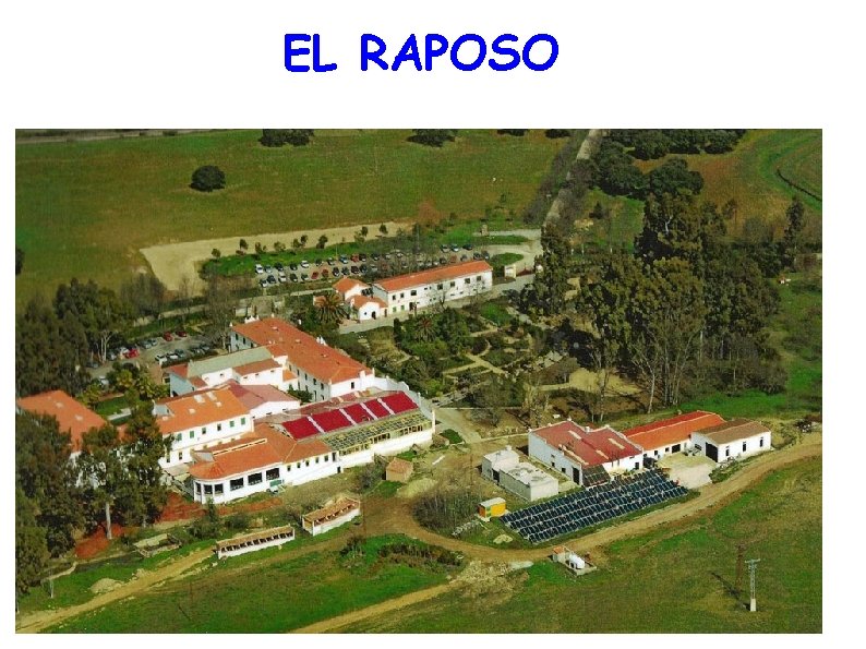 EL RAPOSO 