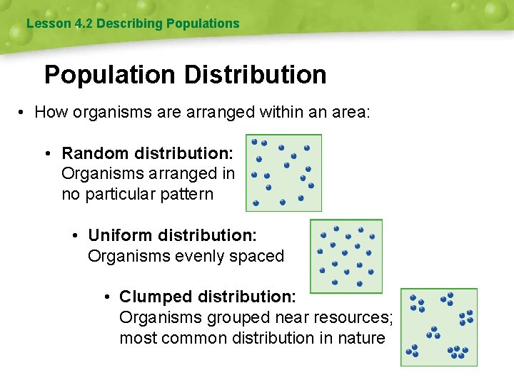 Lesson 4. 2 Describing Populations Population Distribution • How organisms are arranged within an