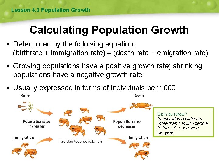 Lesson 4. 3 Population Growth Calculating Population Growth • Determined by the following equation: