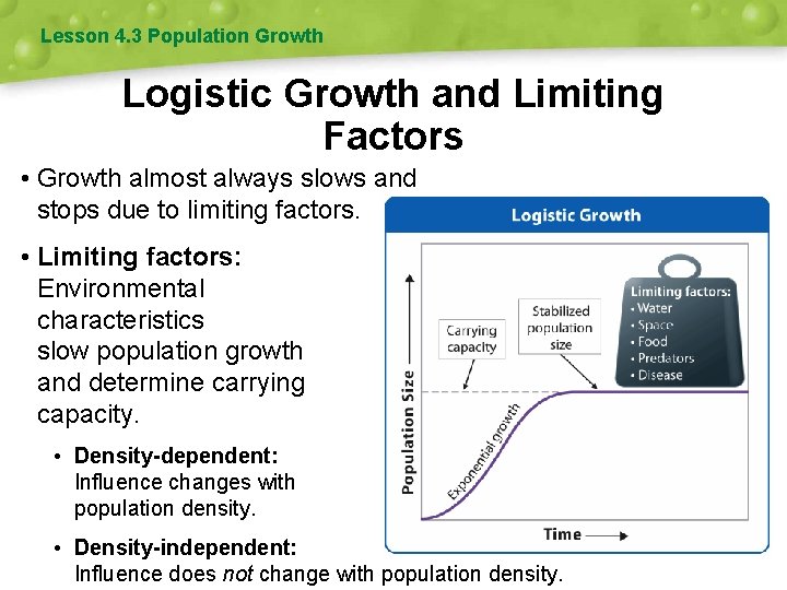 Lesson 4. 3 Population Growth Logistic Growth and Limiting Factors • Growth almost always