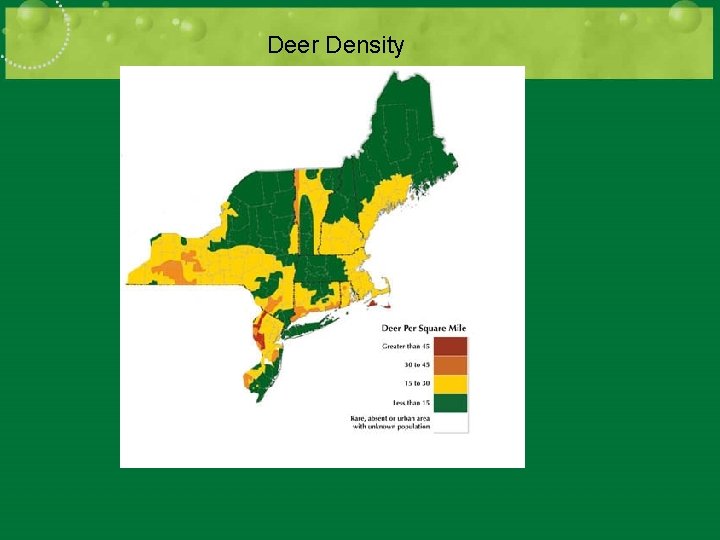 Deer Density 