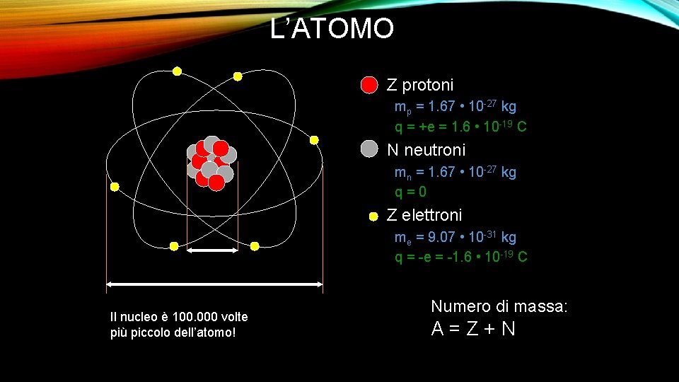 L’ATOMO Z protoni mp = 1. 67 • 10 -27 kg q = +e