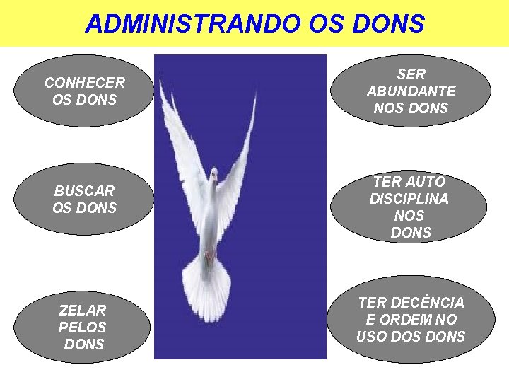 ADMINISTRANDO OS DONS CONHECER OS DONS BUSCAR OS DONS ZELAR PELOS DONS SER ABUNDANTE