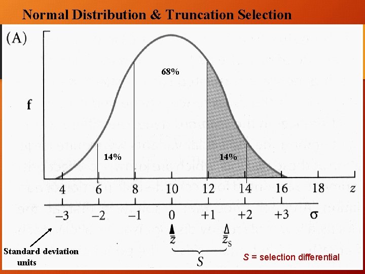 Normal Distribution & Truncation Selection 68% 14% Standard deviation units 14% S = selection