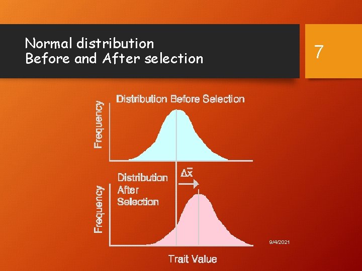 Normal distribution Before and After selection 7 9/4/2021 