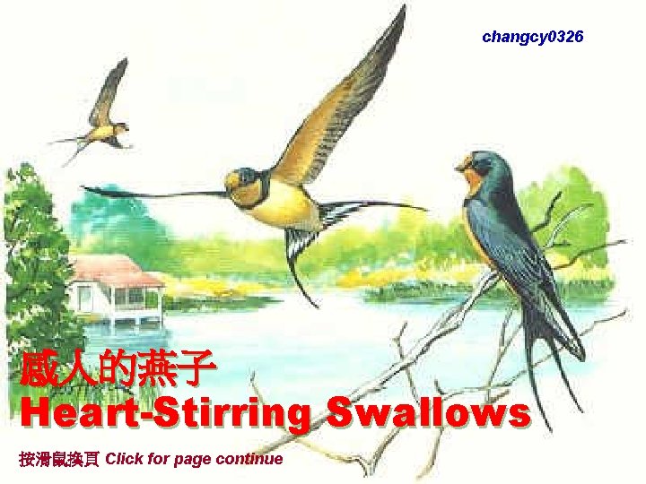 changcy 0326 感人的燕子 Heart-Stirring Swallows 按滑鼠換頁 Click for page continue Please leave Show intact