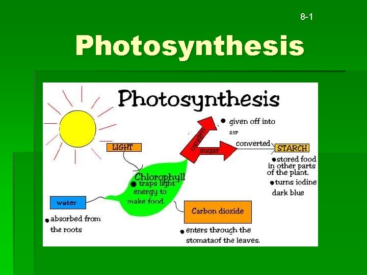 8 -1 Photosynthesis 