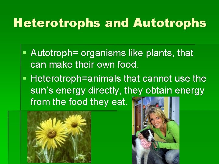 Heterotrophs and Autotrophs § Autotroph= organisms like plants, that can make their own food.