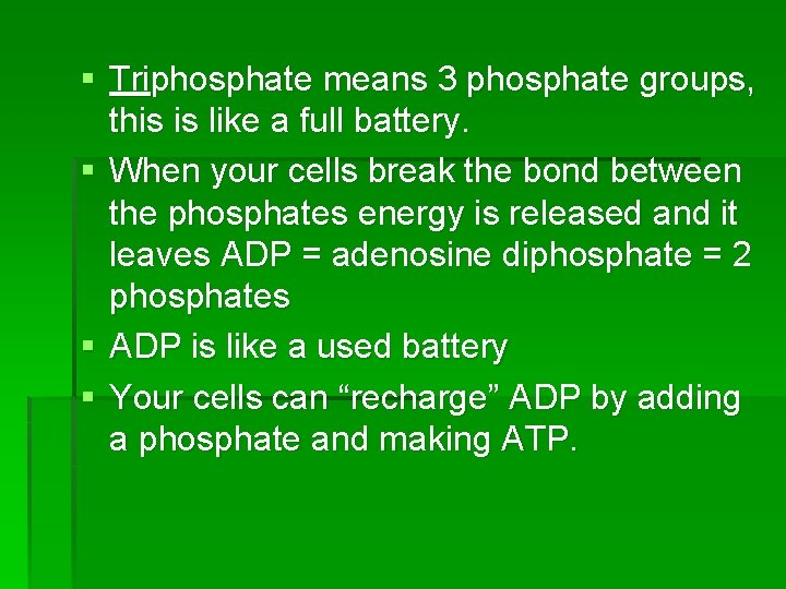 § Triphosphate means 3 phosphate groups, this is like a full battery. § When