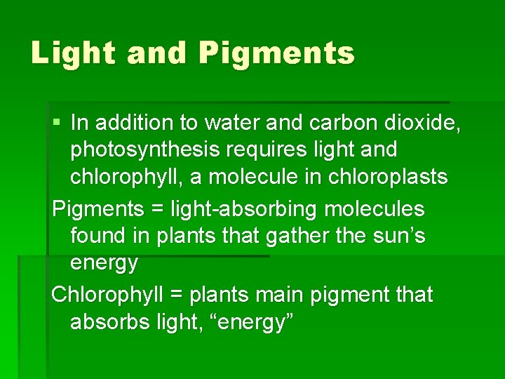 Light and Pigments § In addition to water and carbon dioxide, photosynthesis requires light