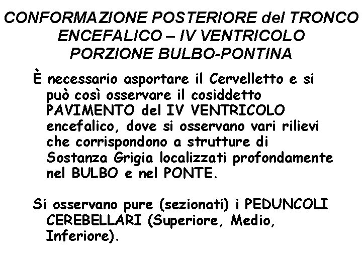 CONFORMAZIONE POSTERIORE del TRONCO ENCEFALICO – IV VENTRICOLO PORZIONE BULBO-PONTINA È necessario asportare il