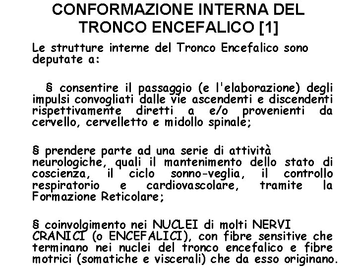 CONFORMAZIONE INTERNA DEL TRONCO ENCEFALICO [1] Le strutture interne del Tronco Encefalico sono deputate