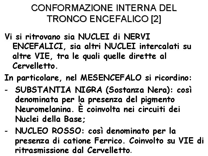 CONFORMAZIONE INTERNA DEL TRONCO ENCEFALICO [2] Vi si ritrovano sia NUCLEI di NERVI ENCEFALICI,