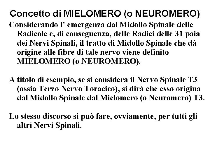 Concetto di MIELOMERO (o NEUROMERO) Considerando l’ emergenza dal Midollo Spinale delle Radicole e,
