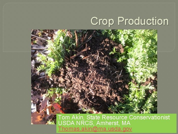 Crop Production Tom Akin, State Resource Conservationist USDA NRCS, Amherst, MA Thomas. akin@ma. usda.