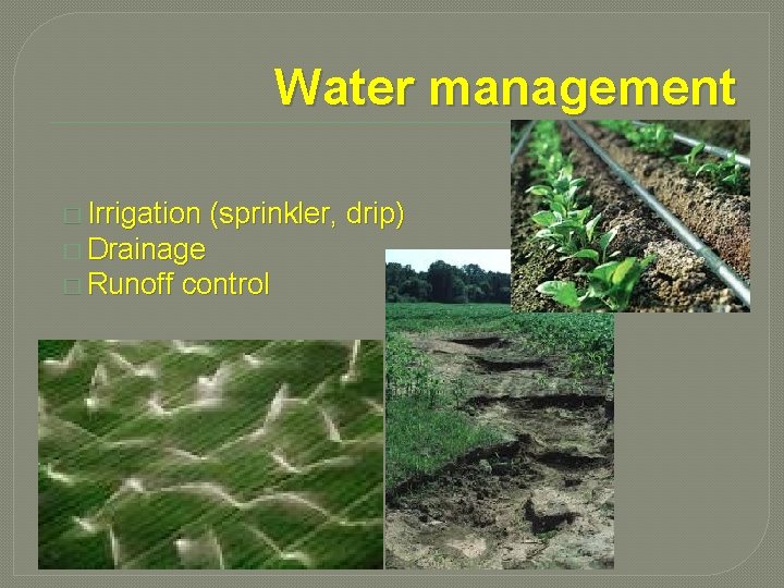 Water management � Irrigation (sprinkler, drip) � Drainage � Runoff control 