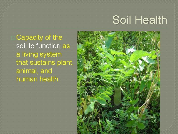 Soil Health � Capacity of the soil to function as a living system that