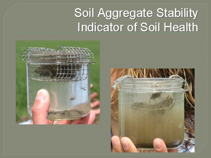 Soil Aggregate Stability Indicator of Soil Health 