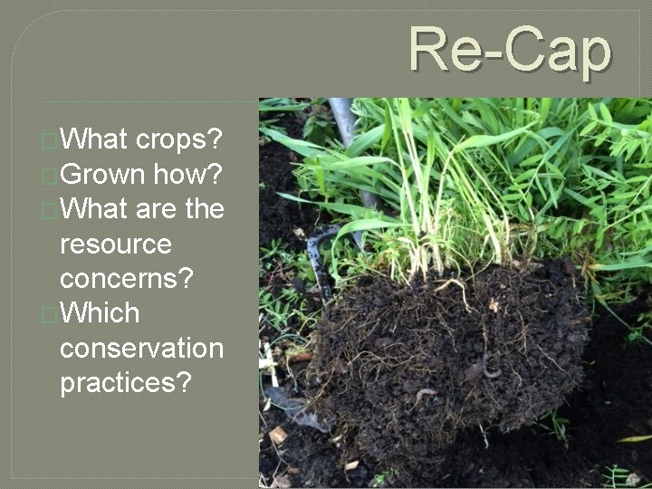Re-Cap �What crops? �Grown how? �What are the resource concerns? �Which conservation practices? 