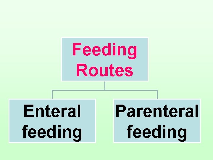 Feeding Routes Enteral feeding Parenteral feeding 