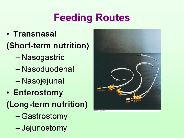 Feeding Routes • Transnasal (Short-term nutrition) – Nasogastric – Nasoduodenal – Nasojejunal • Enterostomy