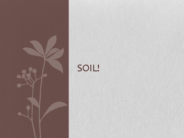 SOIL! 