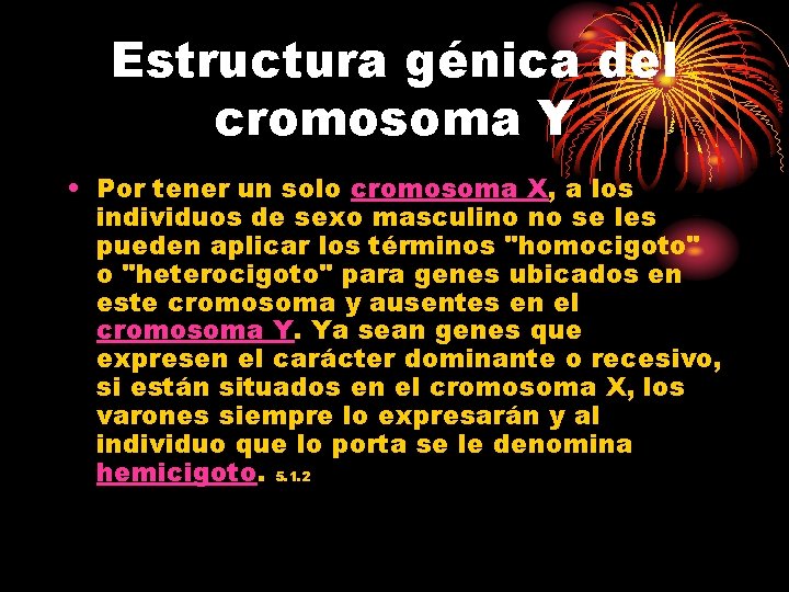 Estructura génica del cromosoma Y • Por tener un solo cromosoma X, a los